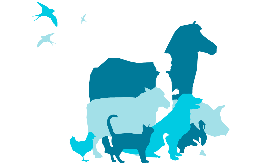 GNU Solidario - Animals Rights
